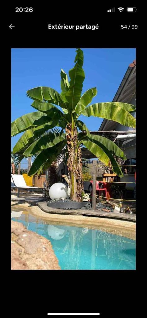 A La Marc'Quize Chambres D'Hotes, Petit Dejeuner Compris, Avec Piscine A Debordement En Exterieur, Bain Nordique A 38 Degres En Prestation Supplement Sur Reservation Horaire Anticipee 1 Place De Parking Gratuite Sur Place Mouxy Dış mekan fotoğraf