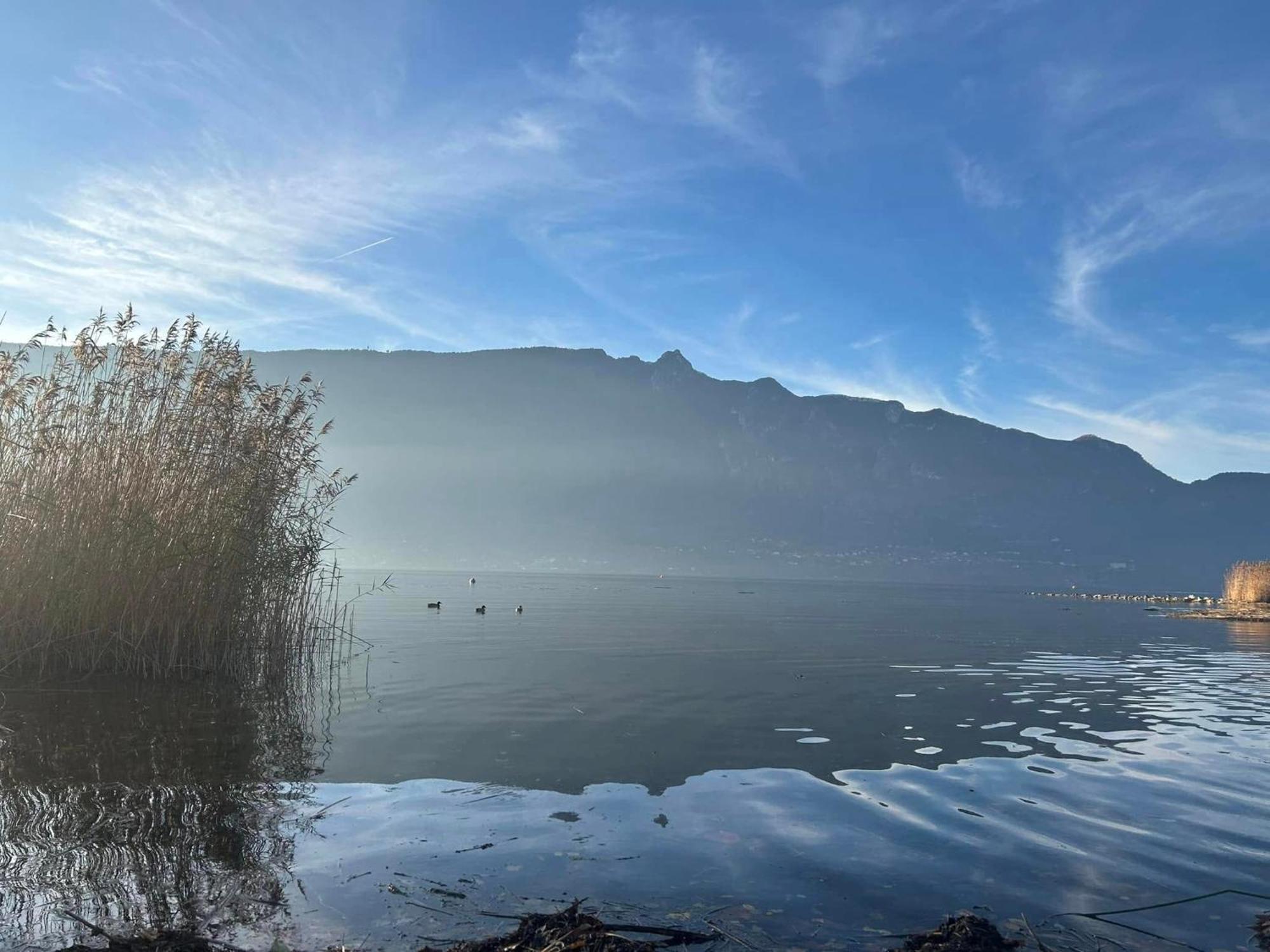 A La Marc'Quize Chambres D'Hotes, Petit Dejeuner Compris, Avec Piscine A Debordement En Exterieur, Bain Nordique A 38 Degres En Prestation Supplement Sur Reservation Horaire Anticipee 1 Place De Parking Gratuite Sur Place Mouxy Dış mekan fotoğraf